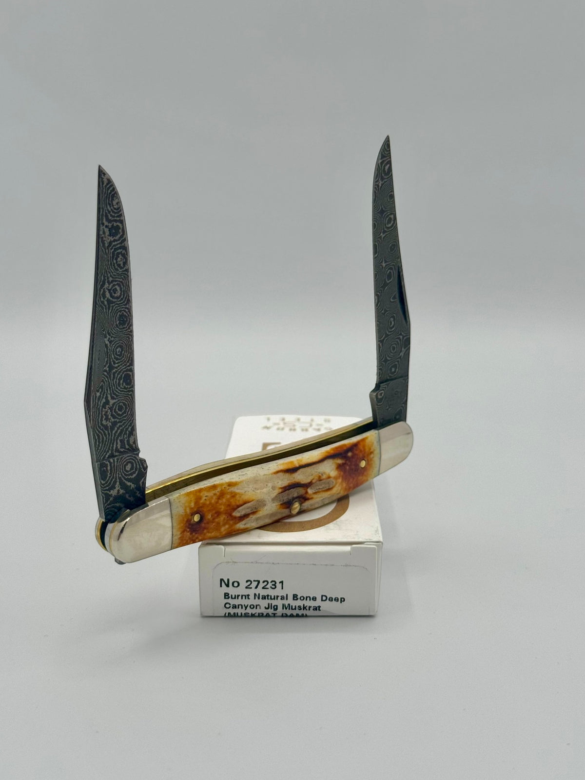 Case XX 27231 Damascus Burnt Natural Bone Deep Canyon Jig Muskrat — back side on Case box