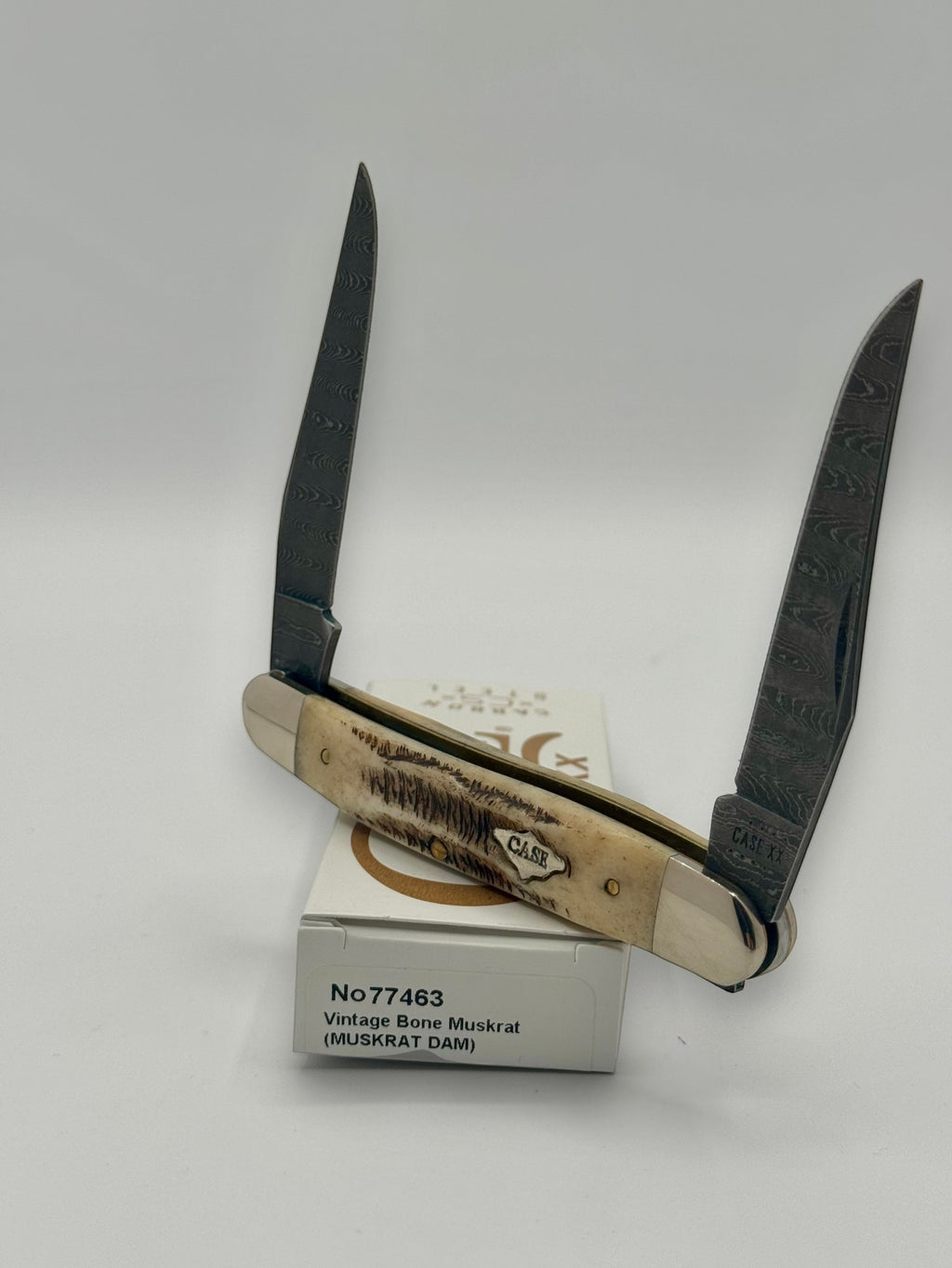 Case XX 77463 Vintage Bone Muskrat Damascus — closed on Case box