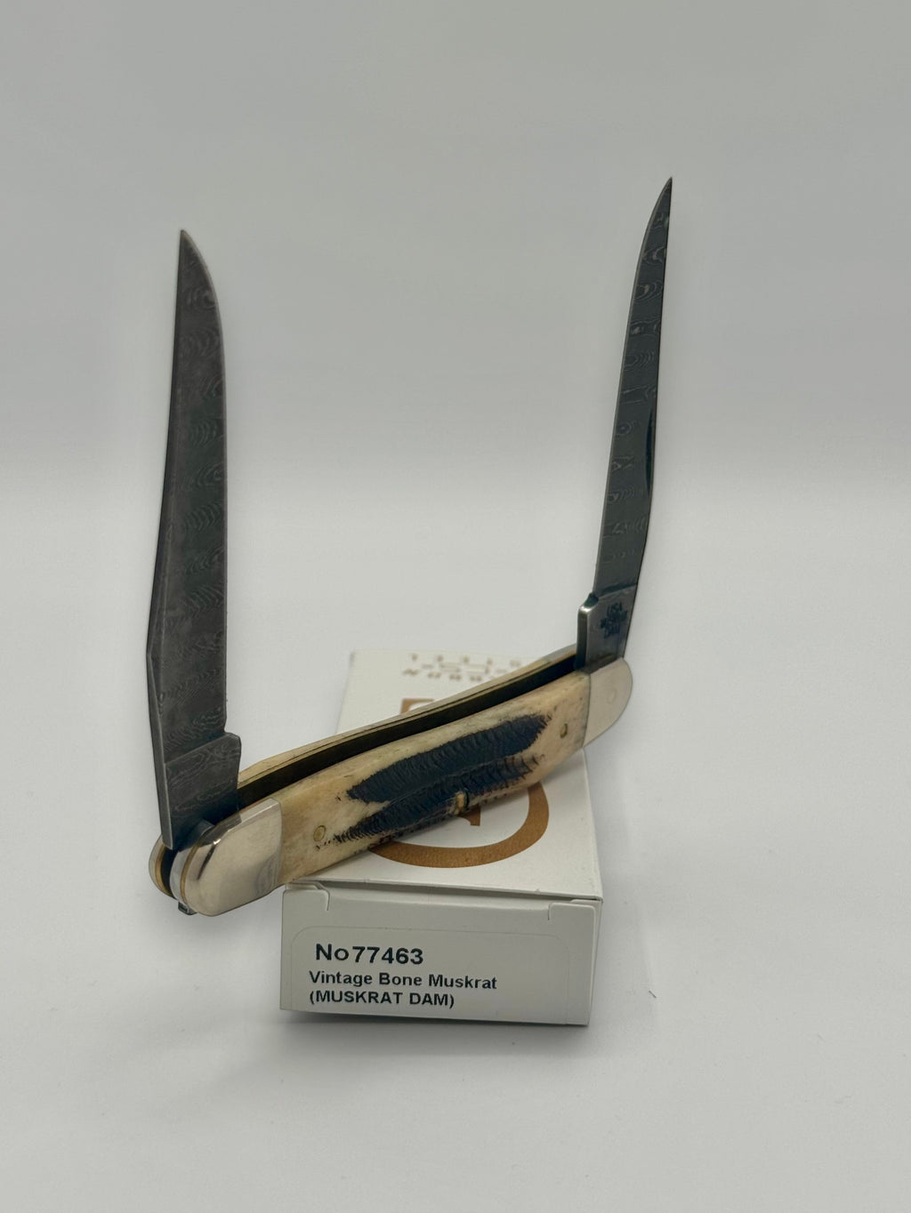 Case XX 77463 Vintage Bone Muskrat Damascus — back side on Case box