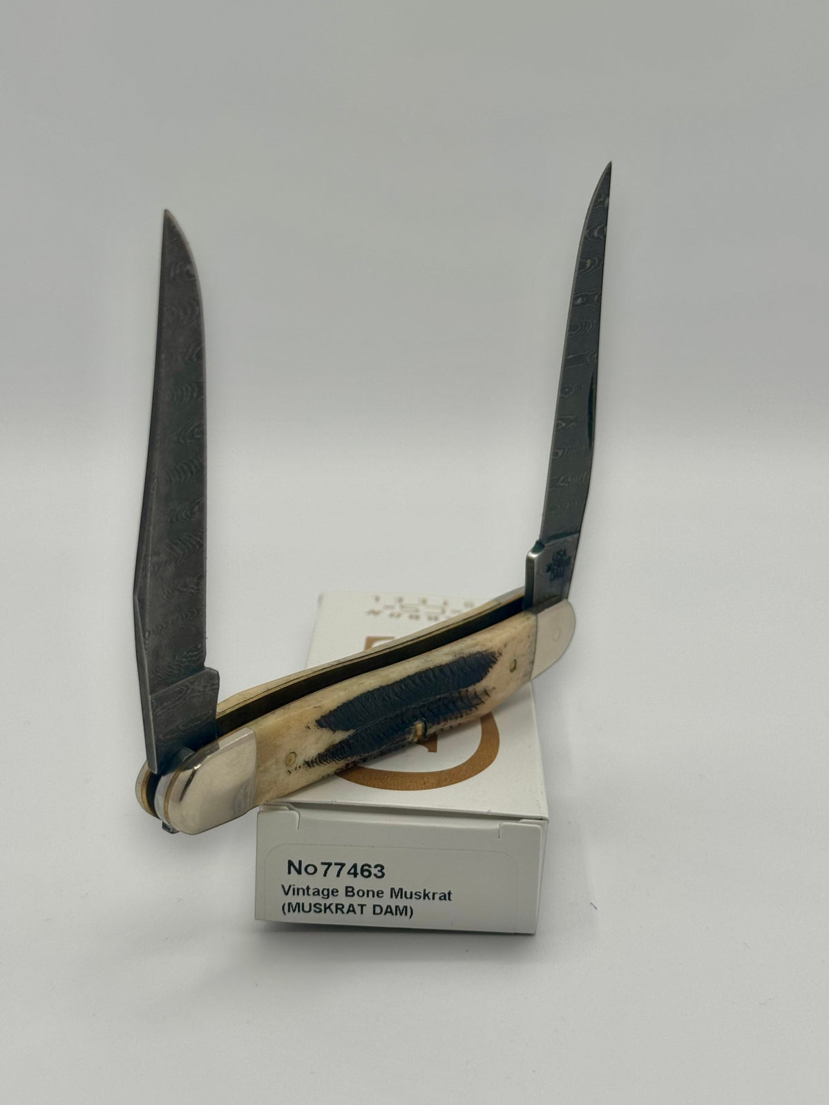 Case XX 77463 Vintage Bone Muskrat Damascus — back side on Case box