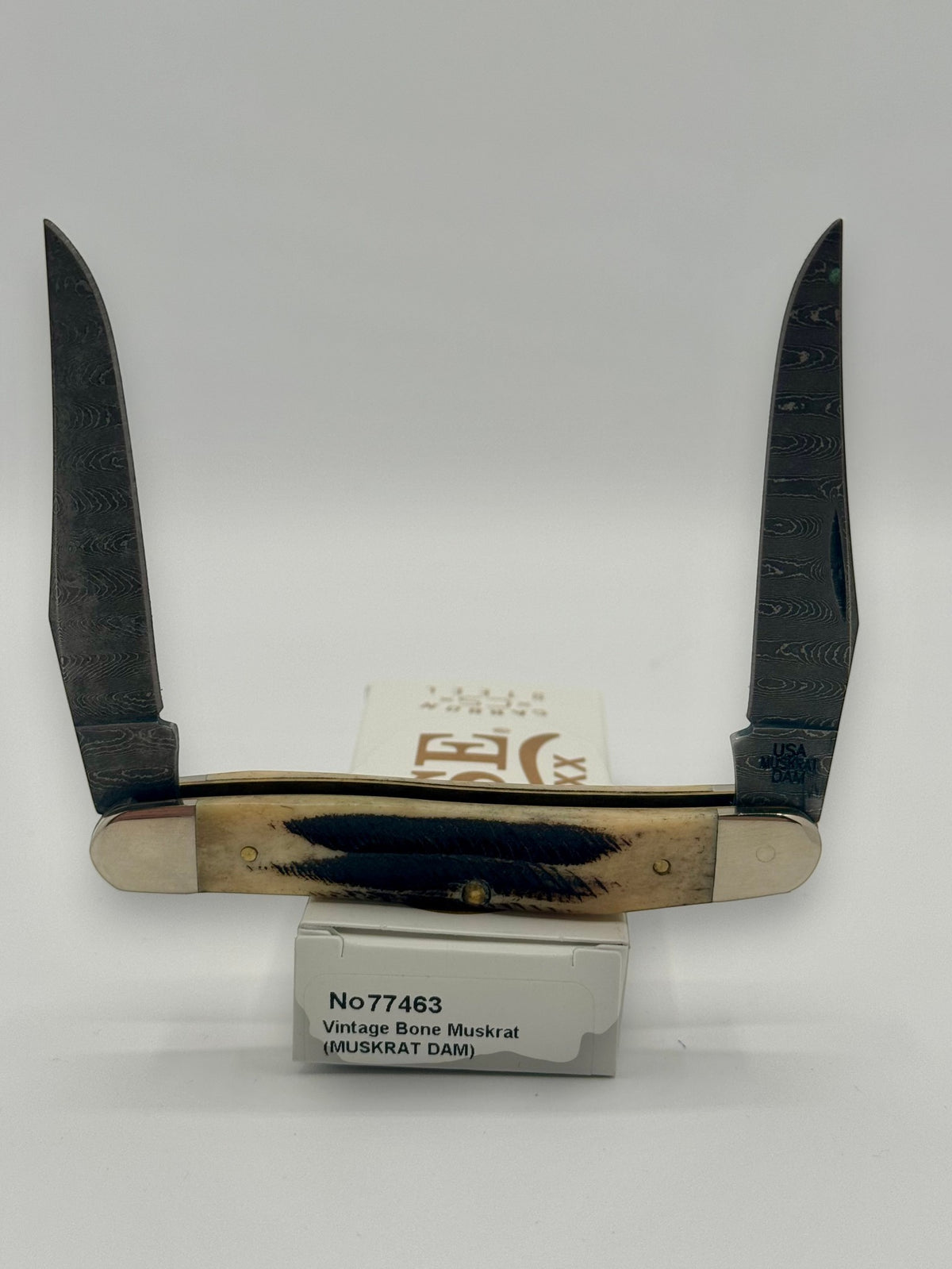 Case XX 77463 Vintage Bone Muskrat Damascus — angled open view