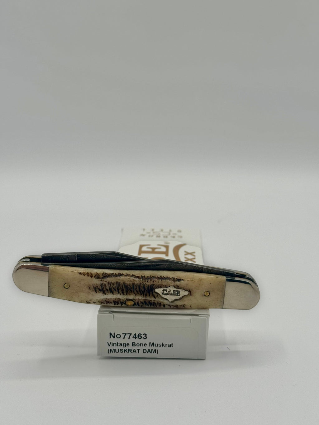 Case XX 77463 Vintage Bone Muskrat Damascus — lifestyle angle on Case box