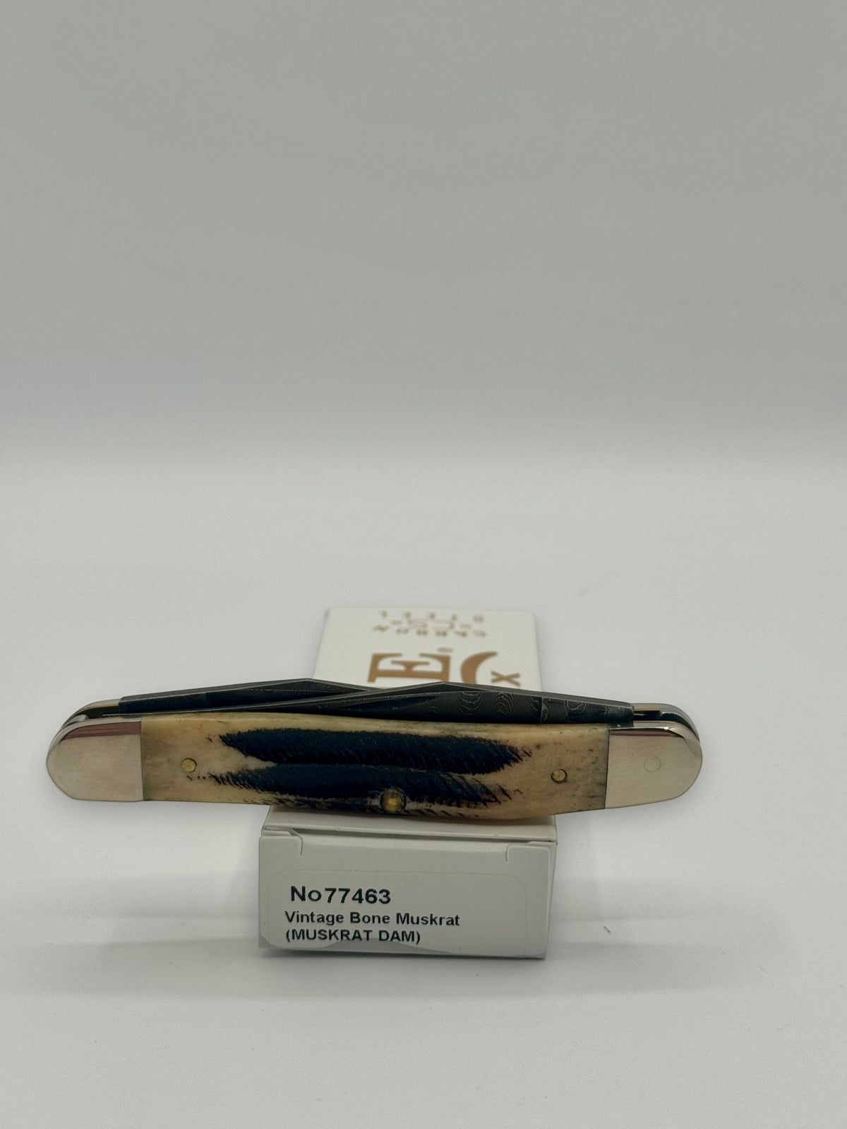 Case XX 77463 Vintage Bone Muskrat Damascus — packaging and knife together
