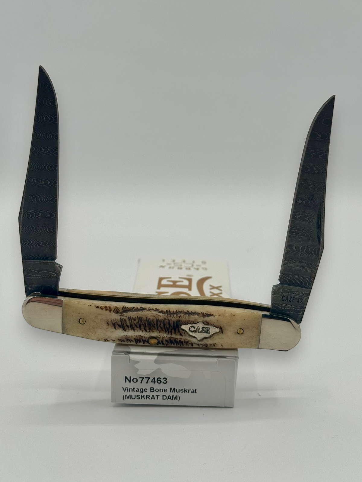 Case XX 77463 Vintage Bone Muskrat Damascus — open on Case retail box