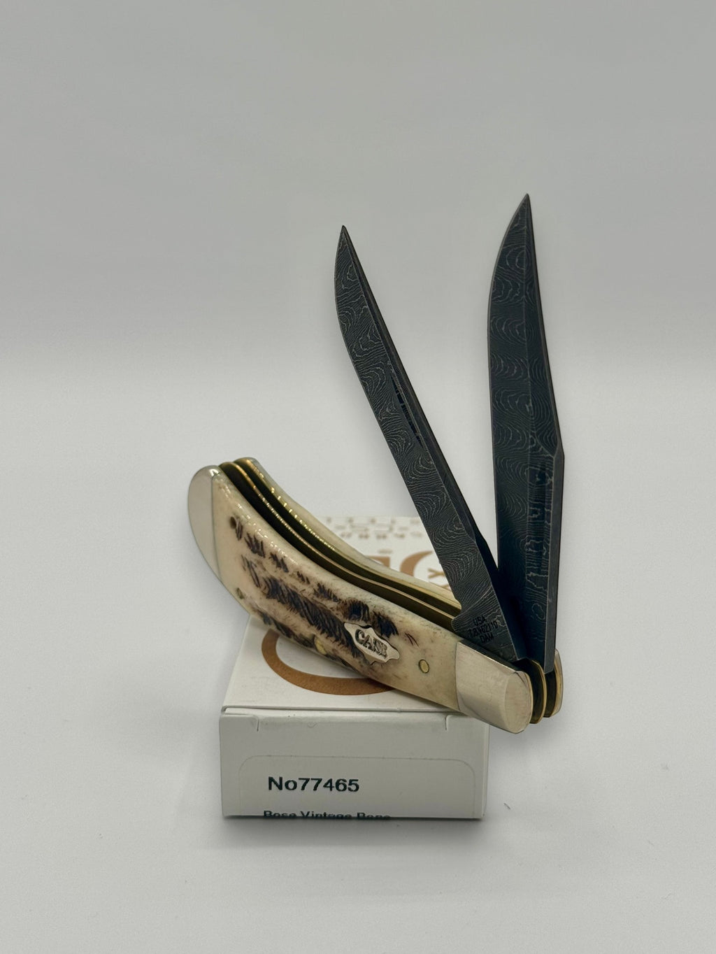 Case XX 77465 Vintage Bone Small Saddlehorn — closed on Case box