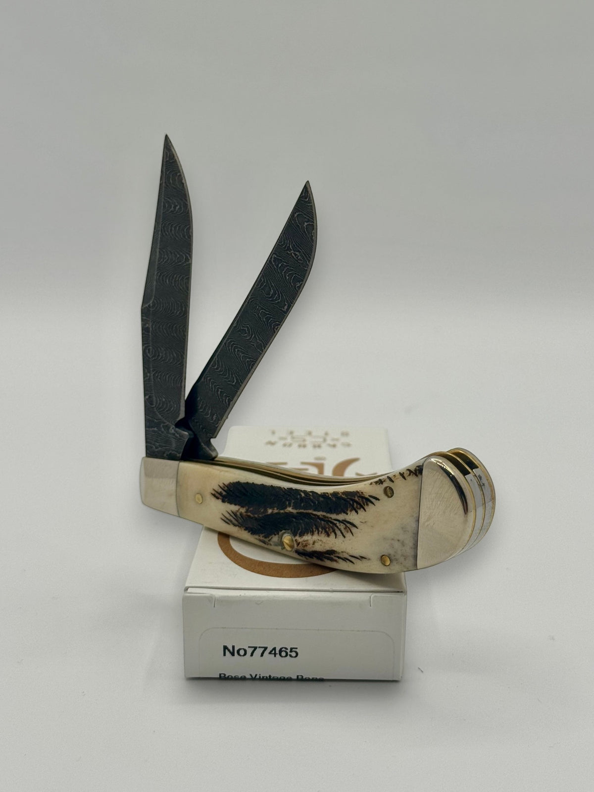 Case XX 77465 Vintage Bone Small Saddlehorn — handle and shield detail