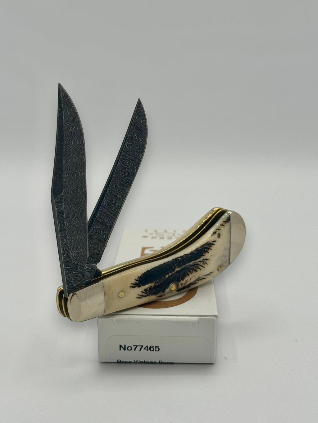 Case XX 77465 Vintage Bone Small Saddlehorn — back side on Case box