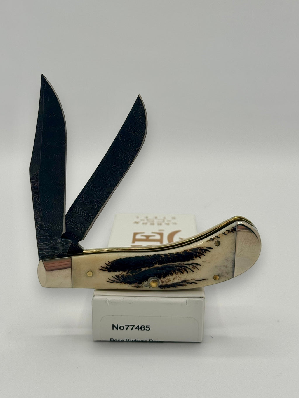 Case XX 77465 Vintage Bone Small Saddlehorn — angled open view