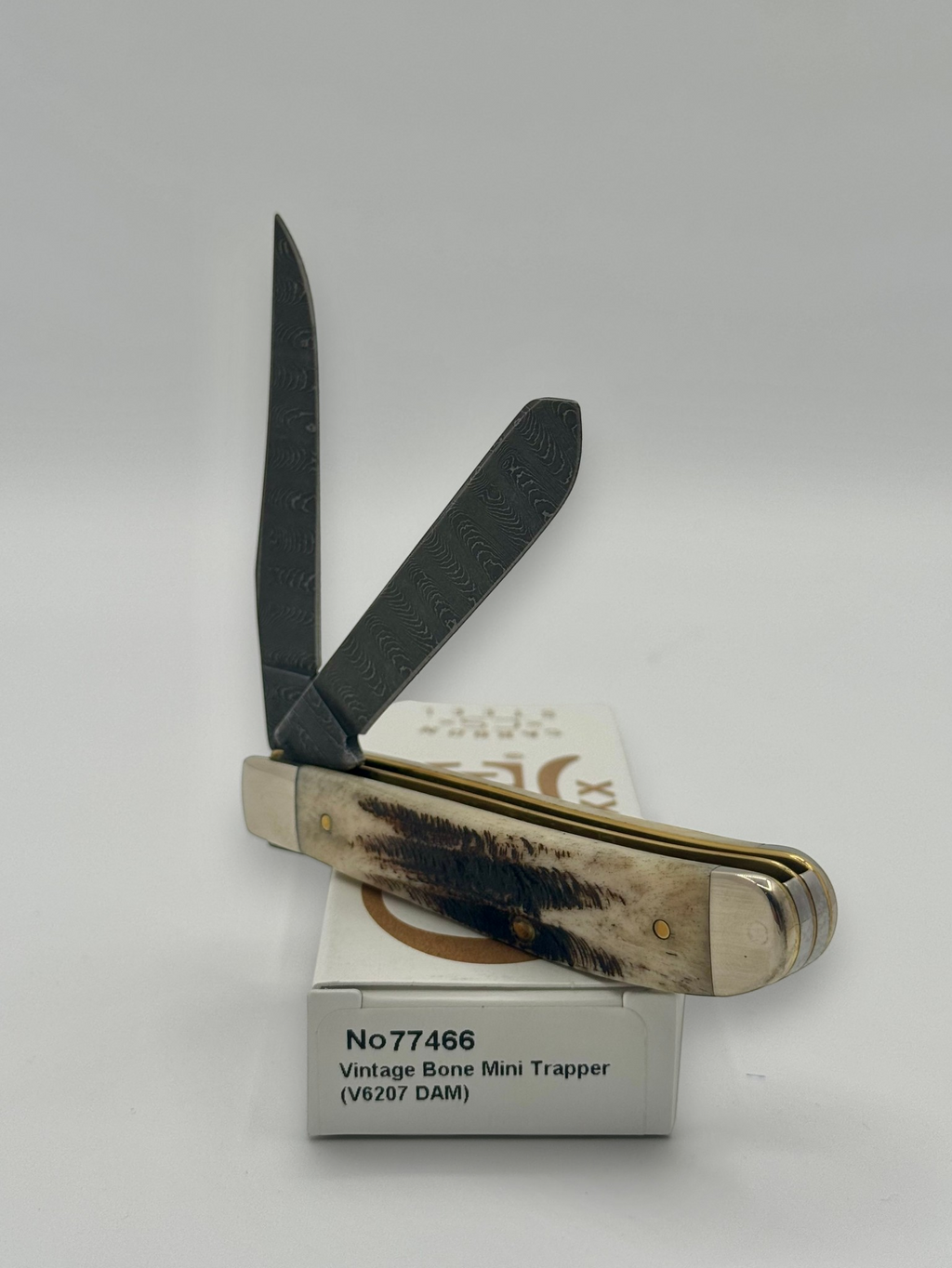 Case XX 77466 Vintage Bone Mini Trapper — handle and shield detail