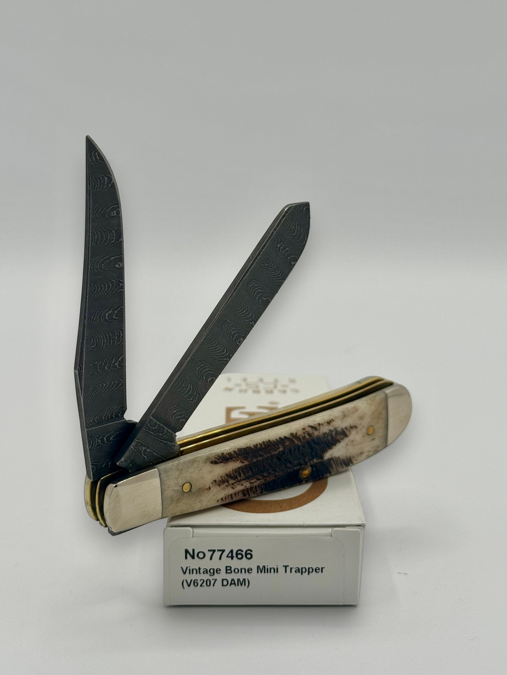 Case XX 77466 Vintage Bone Mini Trapper — back side on Case box
