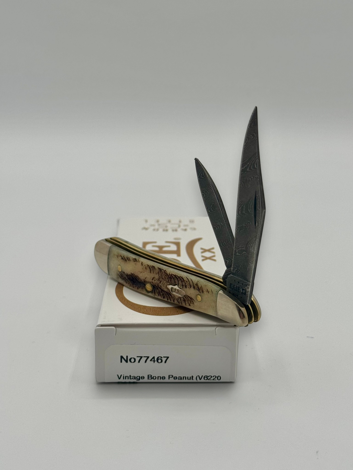 Case XX 77467 Vintage Bone Peanut Damascus — closed on Case box