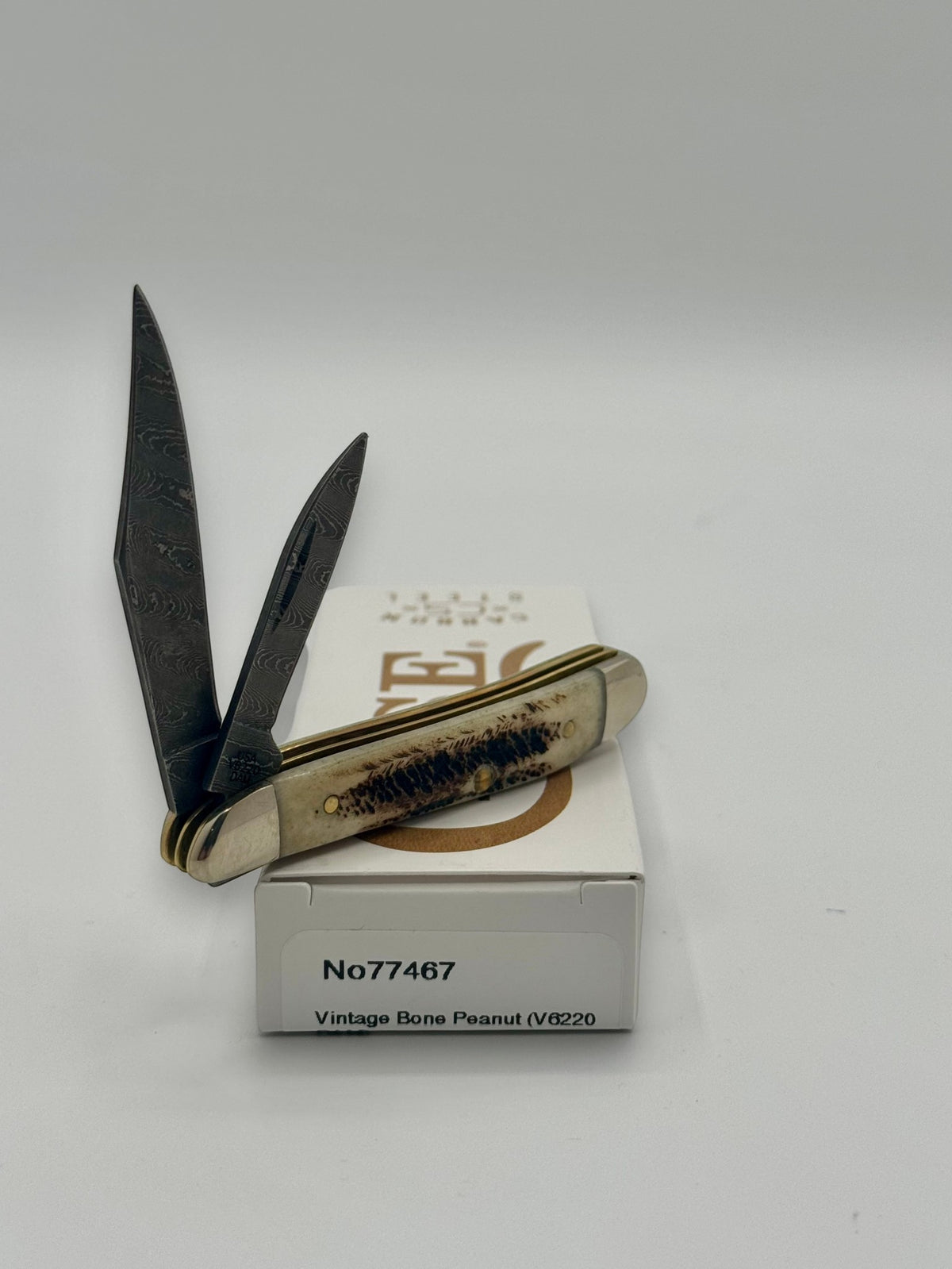 Case XX 77467 Vintage Bone Peanut Damascus — back side on Case box
