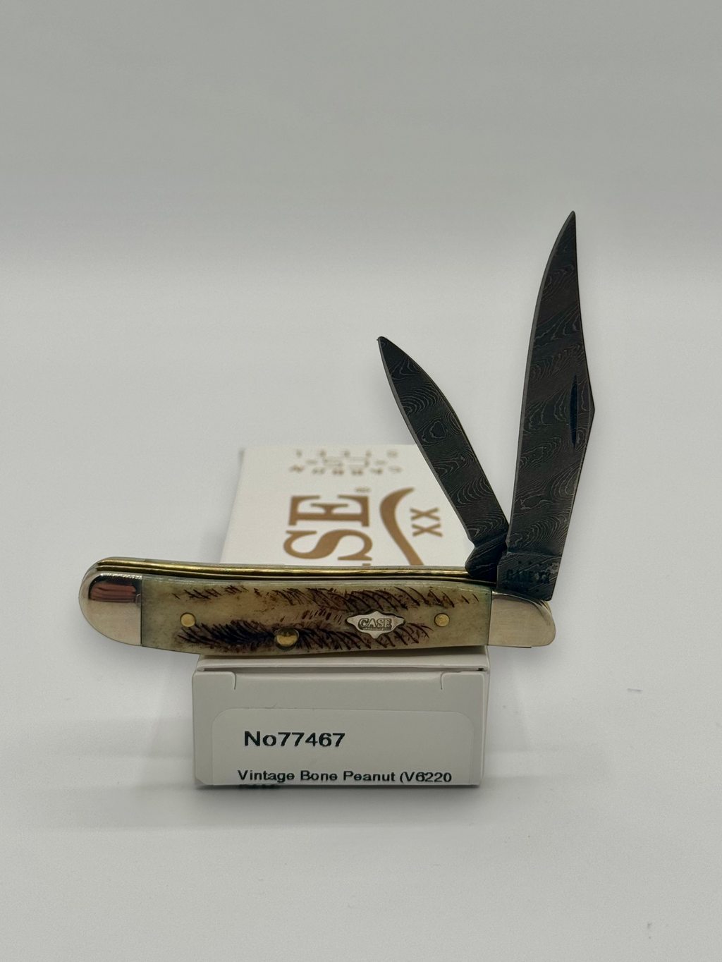 Case XX 77467 Vintage Bone Peanut Damascus — open on Case retail box