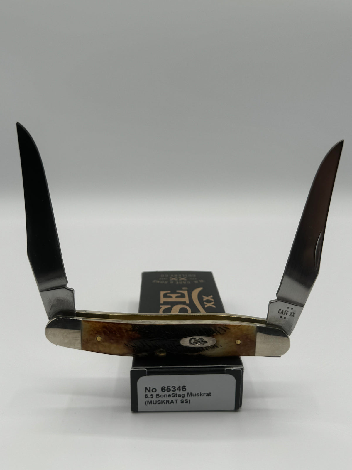 Pigeon Roost Knives Case XX 6.5 BoneStag Muskrat pocket knife with two clip blades and jigged amber bone handle