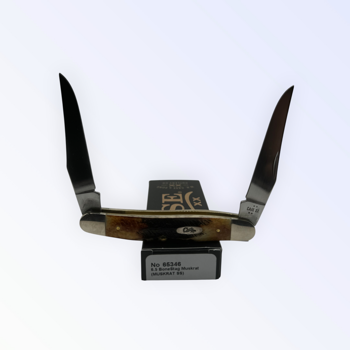 Pigeon Roost Knives Case XX 6.5 BoneStag Muskrat pocket knife with two clip blades and jigged amber bone handle