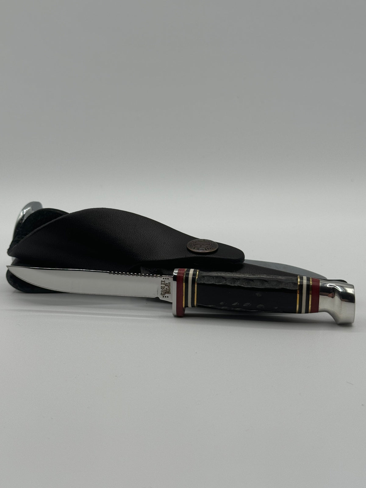 Pigeon Roost Knives Case XX Mini Finn fixed blade knife with jigged buffalo horn handle and leather sheath
