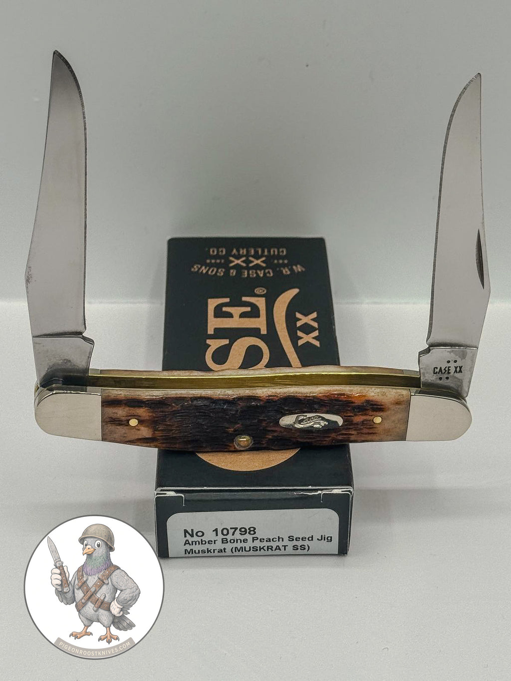 Case XX Muskrat with jigged amber bone and twin spey blades, SKU 10798 — blades open resting on the factory box