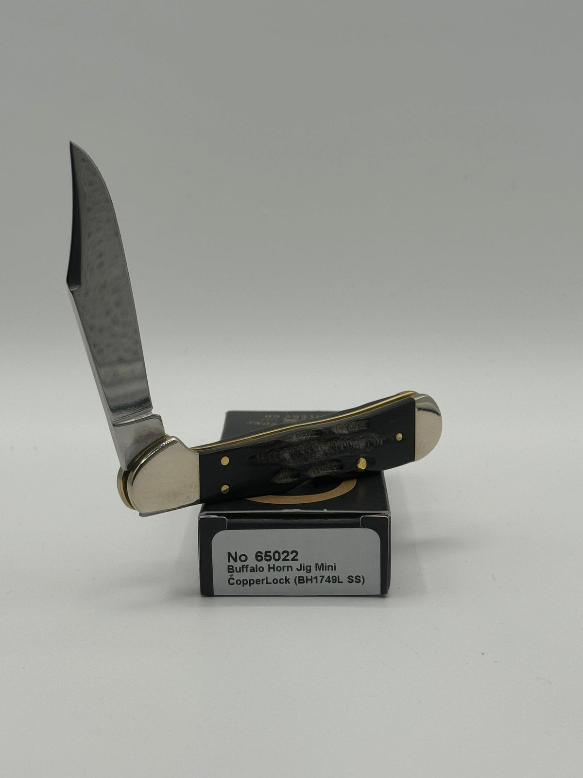 Pigeon Roost Knives Case XX Mini CopperLock pocket knife with jigged buffalo horn handle and stainless steel blade